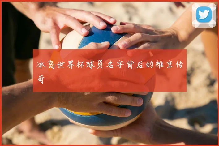 冰岛世界杯球员名字背后的维京传奇