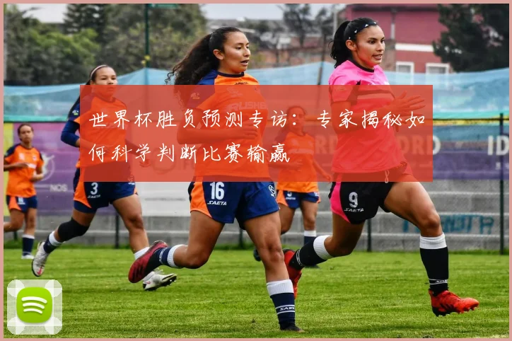 世界杯胜负预测专访:专家揭秘如何科学判断比赛输赢