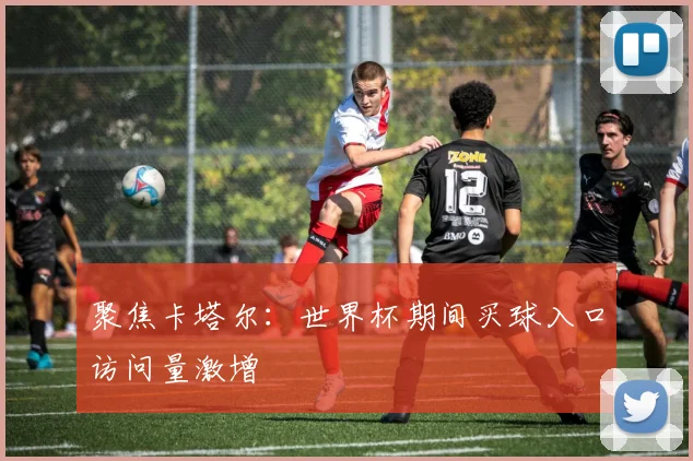 聚焦卡塔尔：世界杯期间买球入口访问量激增