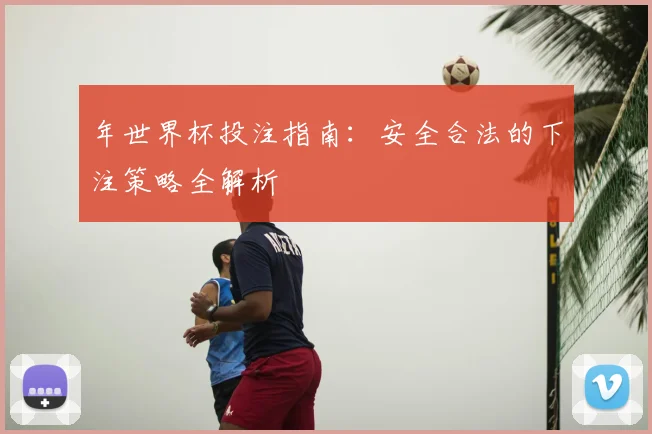 年世界杯投注指南:安全合法的下注策略全解析