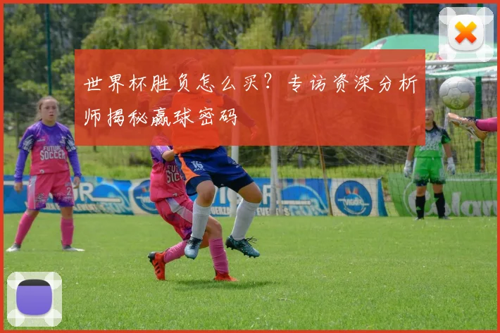 世界杯胜负怎么买？专访资深分析师揭秘赢球密码