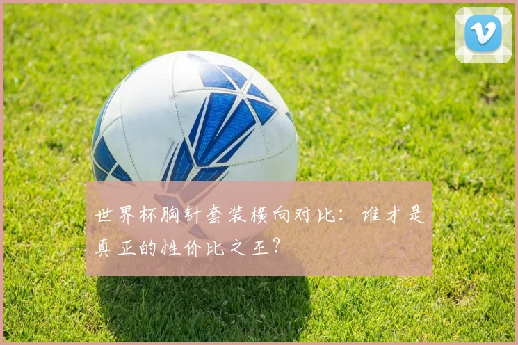 世界杯胸针套装横向对比：谁才是真正的性价比之王？