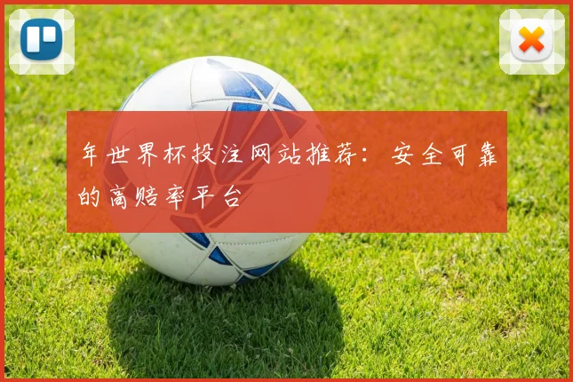 年世界杯投注网站推荐：安全可靠的高赔率平台