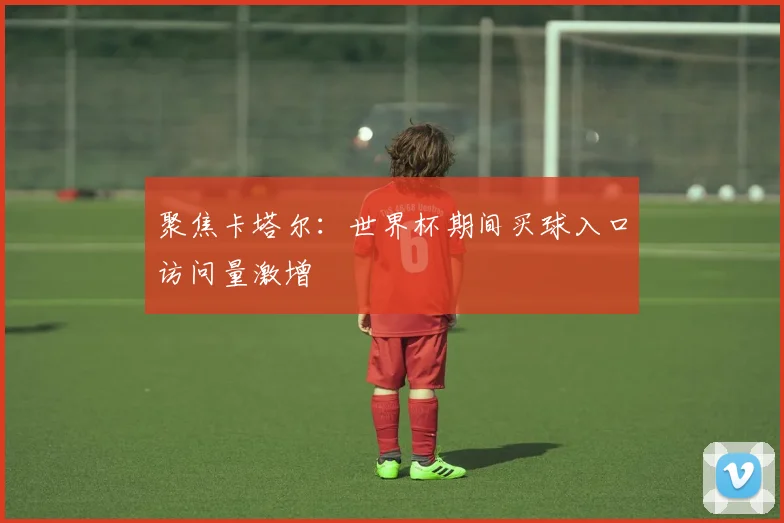 聚焦卡塔尔：世界杯期间买球入口访问量激增
