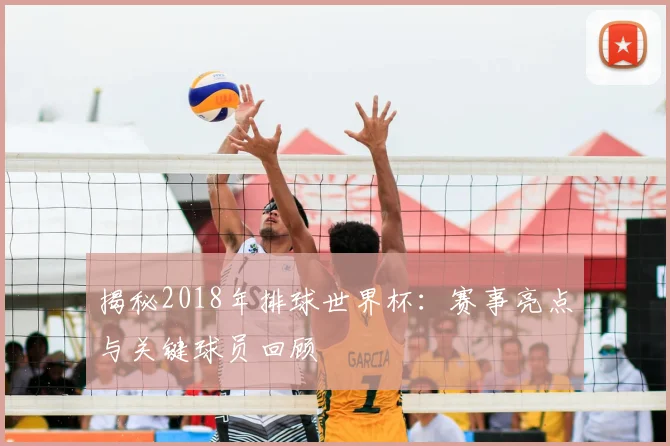 揭秘2018年排球世界杯：赛事亮点与关键球员回顾