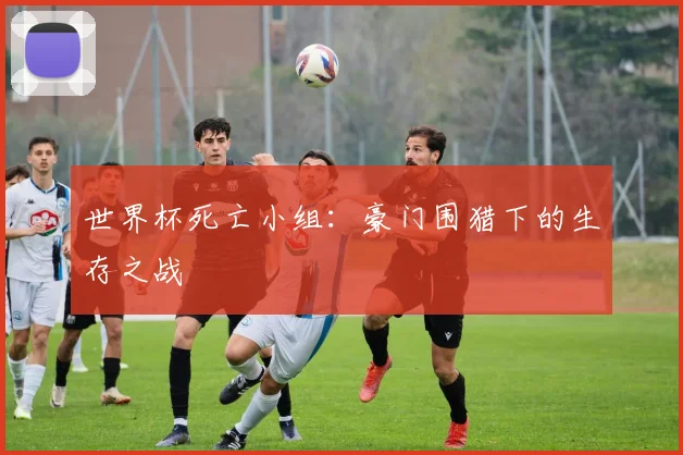 世界杯死亡小组：豪门围猎下的生存之战