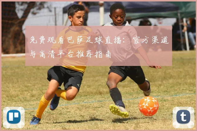 免费观看巴萨足球直播：官方渠道与高清平台推荐指南